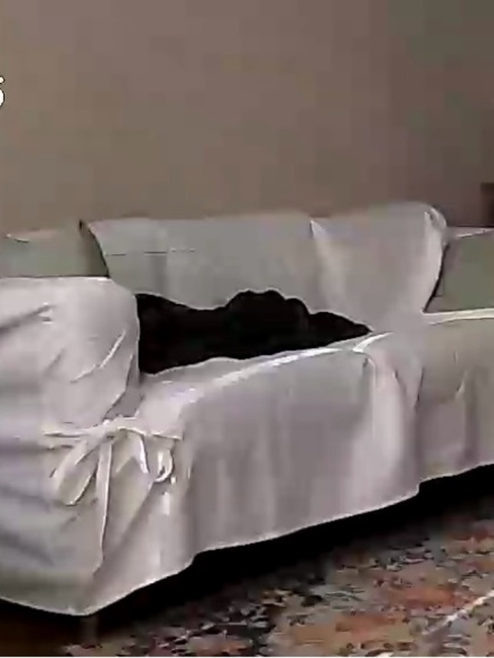 Pottery Barn white slipcover sofa cover